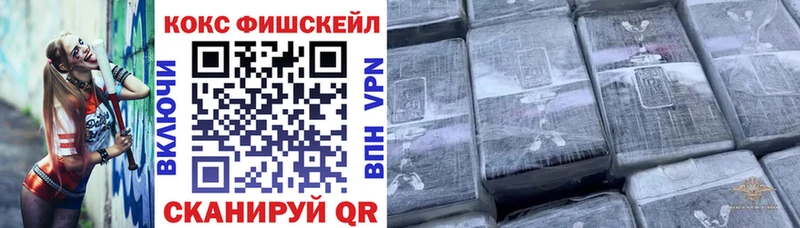 купить   Губкин  COCAIN 99% 