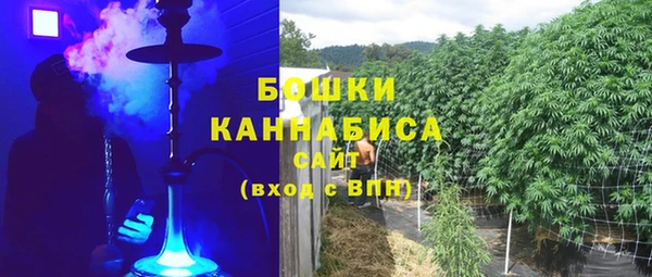 шишки Алзамай
