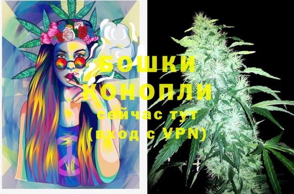 сатива Абинск
