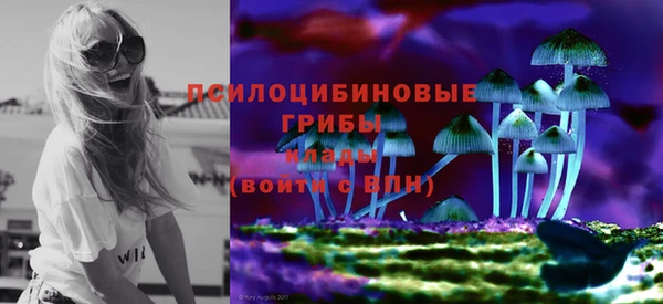 сатива Абинск