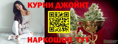 МДПВ Новозыбков
