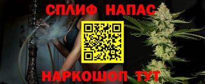 МДПВ Новозыбков