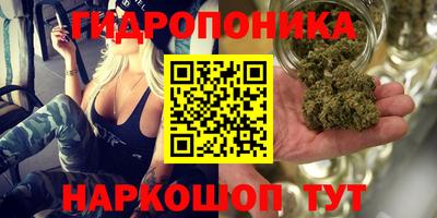 MESCALINE Новодвинск