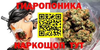МДПВ Новозыбков