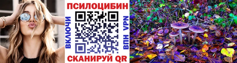 закладки  Губкин  Галлюциногенные грибы ЛСД 