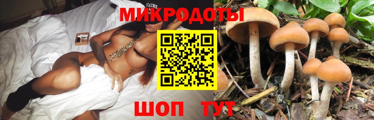 Галлюциногенные грибы Psilocybine cubensis  Вход с VPN  Губкин 